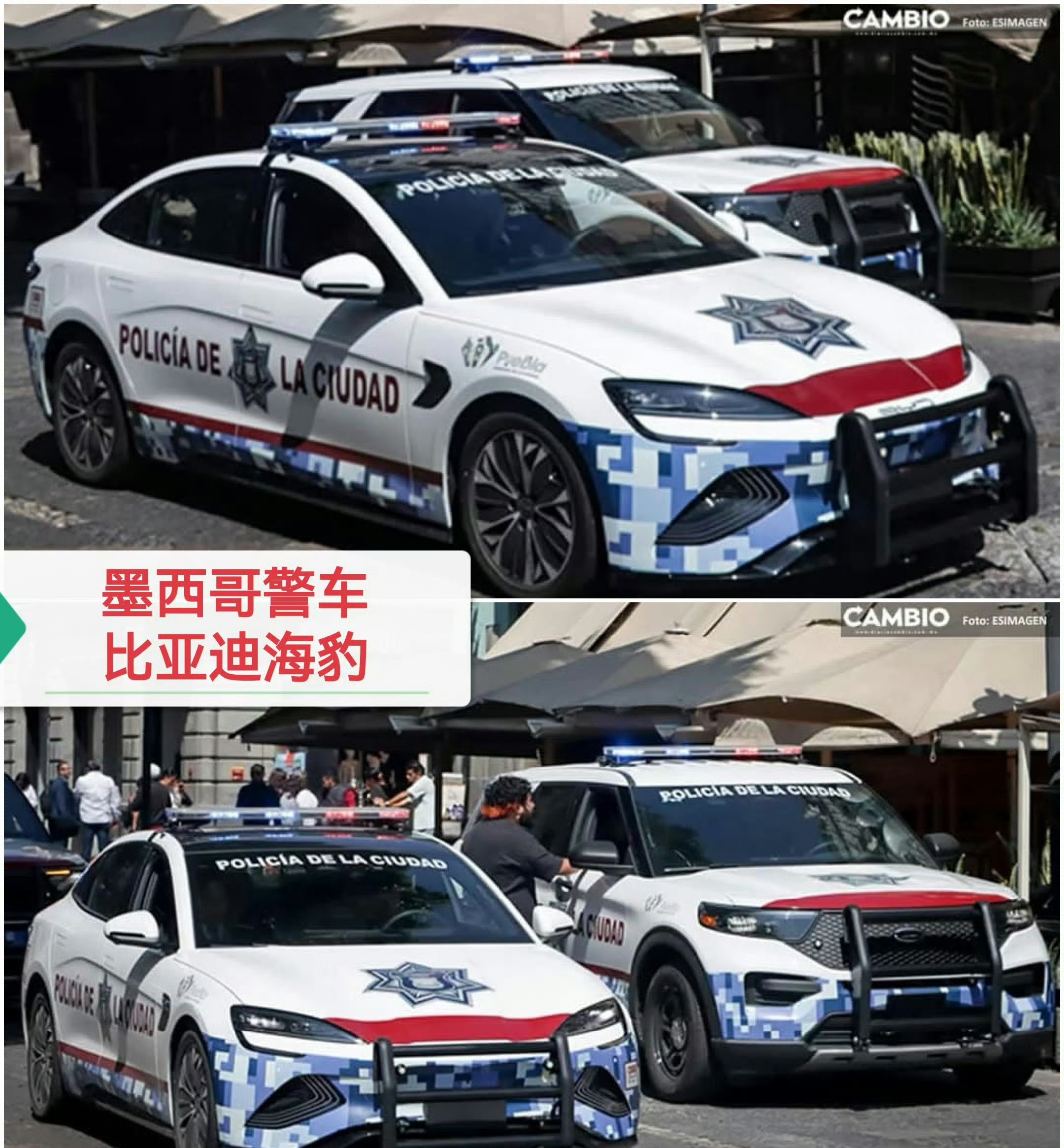 海外公務車“新標配”：比亞迪駛入多國政府車隊