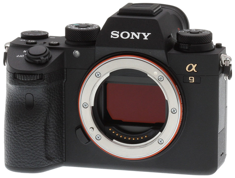 Z-SONY-A9-BEAUTY.JPG