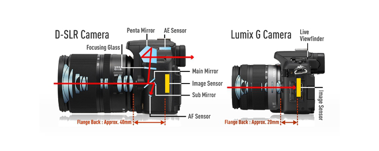 dslr_vs_lumixG.jpg