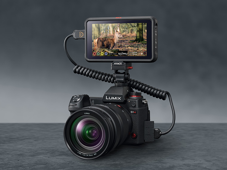 panasonic-s1h-prores-raw-with-atomos-ninja-v.jpg