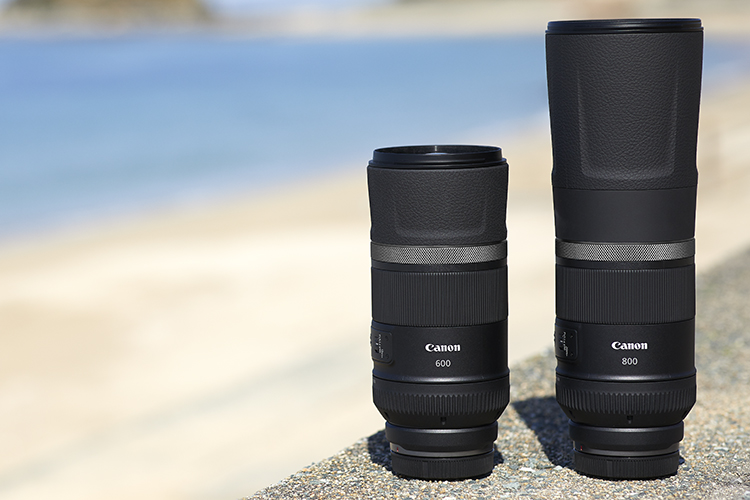 佳能RF600mm F11 IS STM佳能RF800mm F11 IS STM鏡頭.jpg