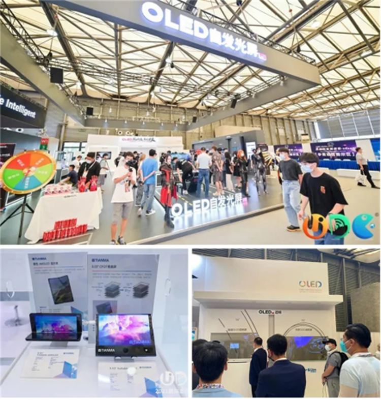5-UDE2021見證中國大顯示時代發展(1)2165.png
